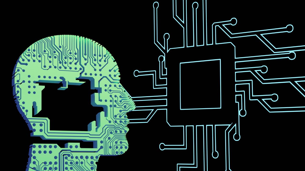 The Human-in-the-Loop Economy