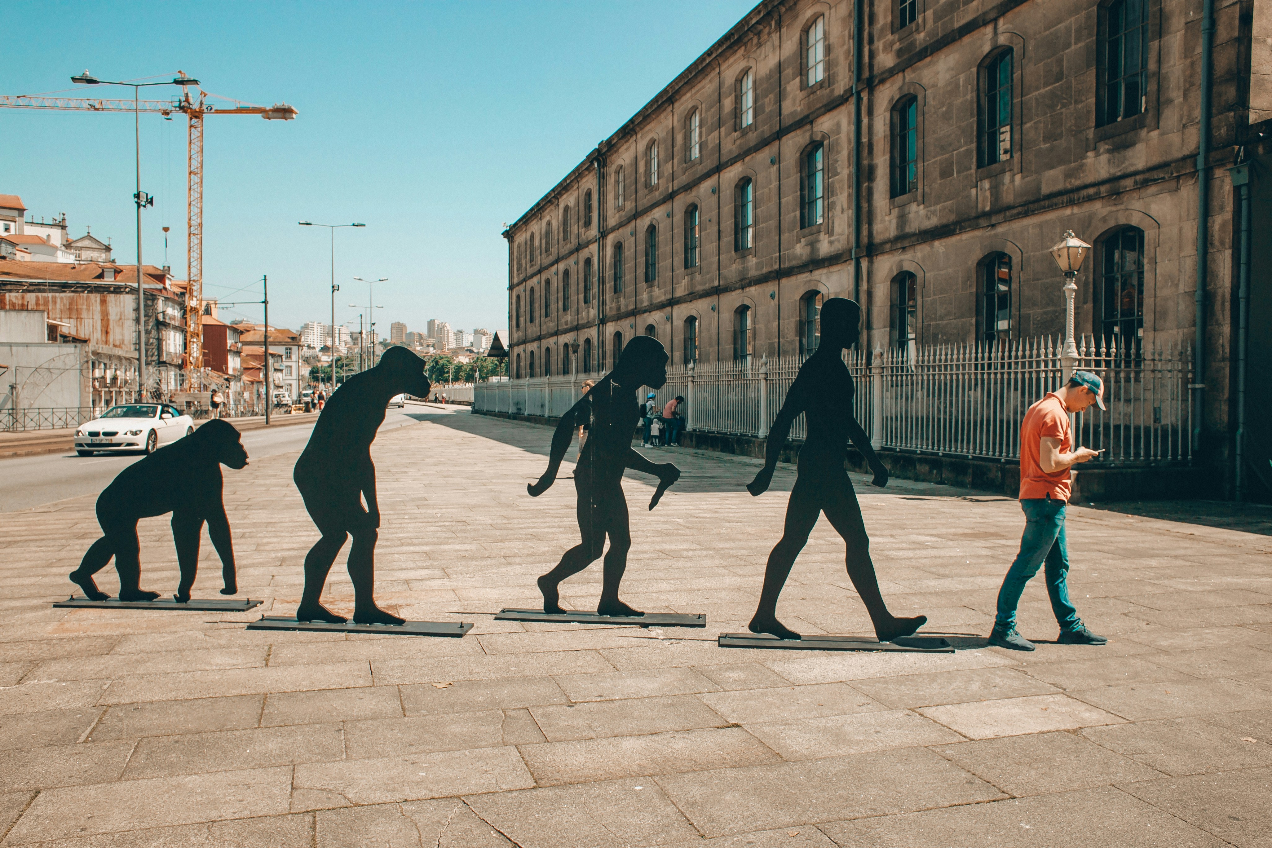 Is Education at a Punctuated Equilibrium?